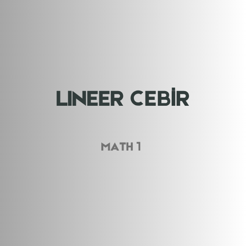 lineer cebir